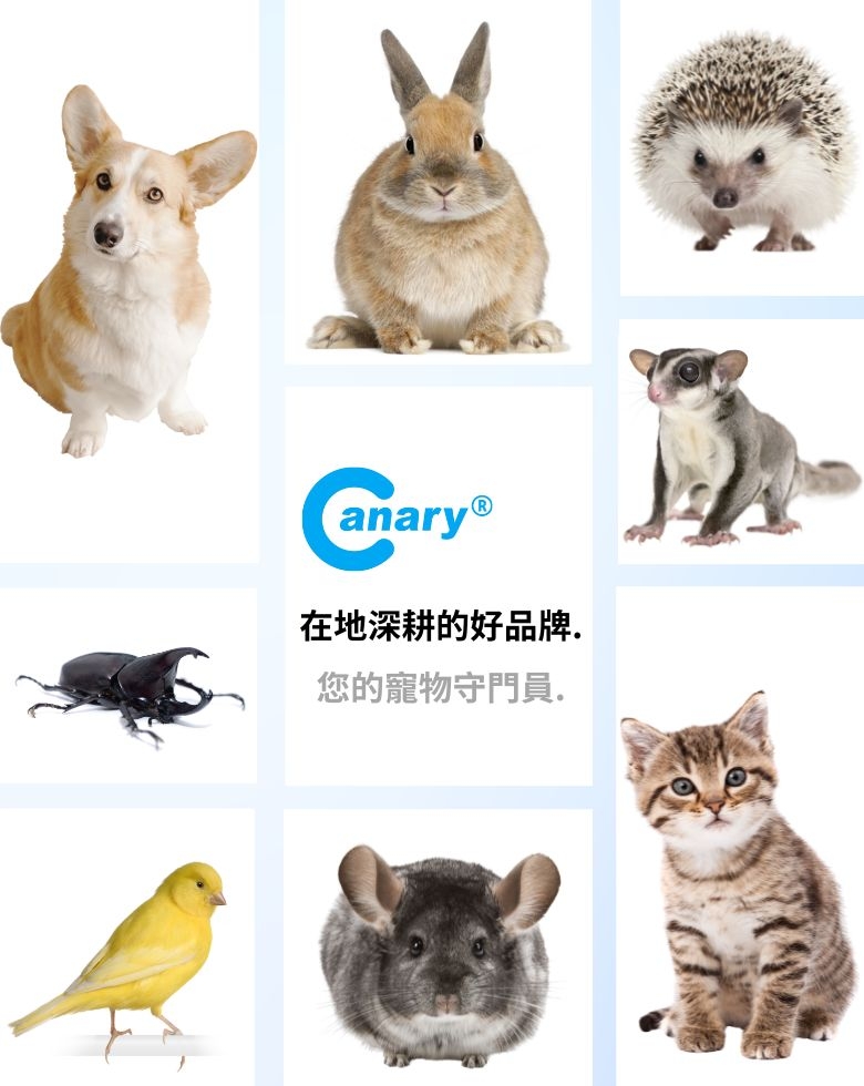 Canary banner mobile.jpg