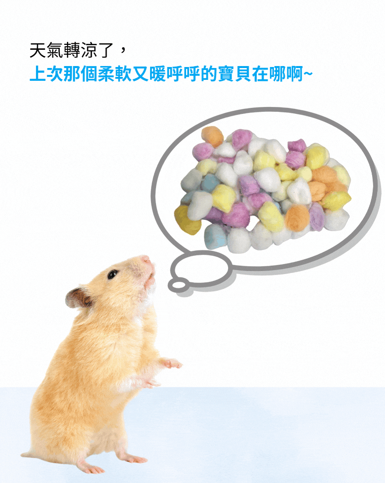 棉球_手機版.gif