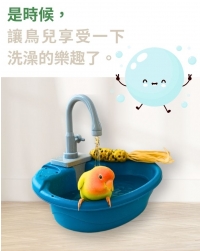 bird bathing_m.jpg