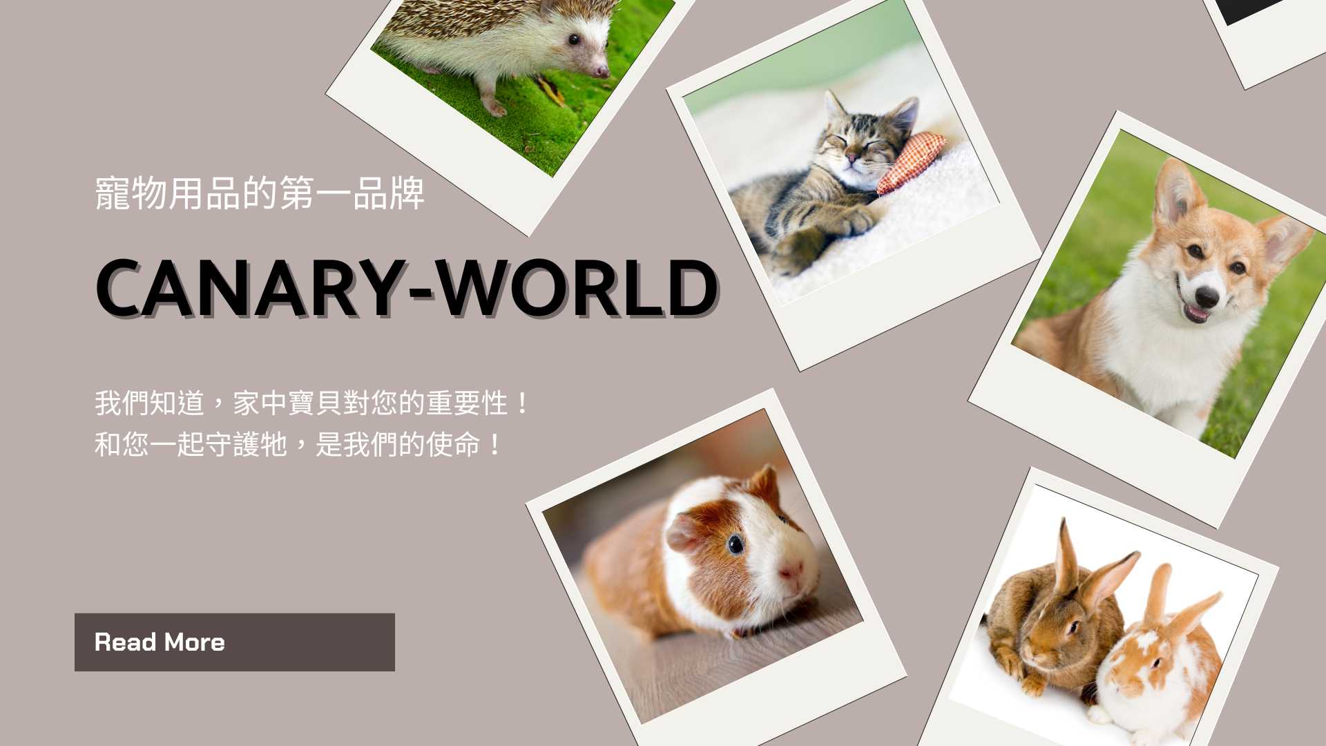 Canary world