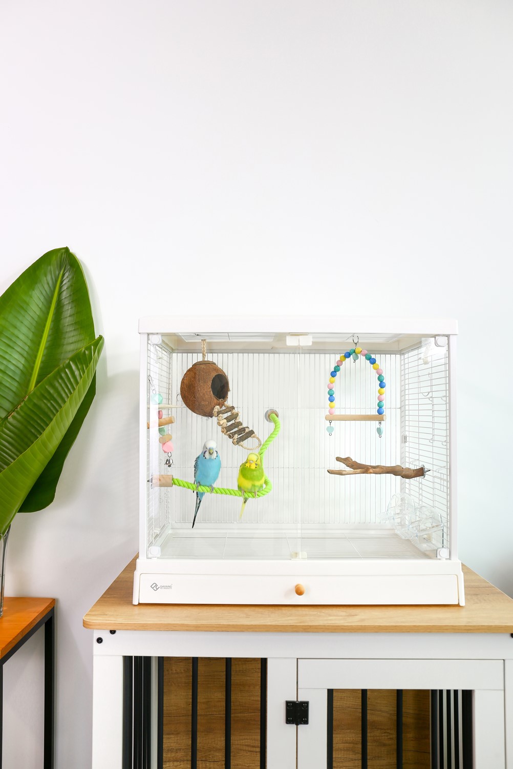 Bird cage