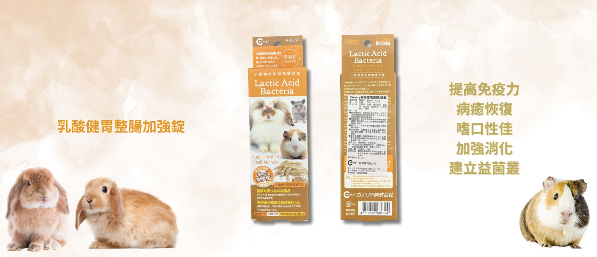 Digestive Enzyme Tablets