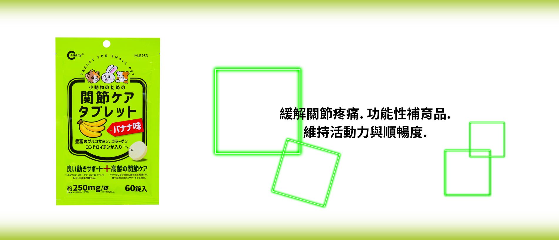 Canary Lactic acid bacteria