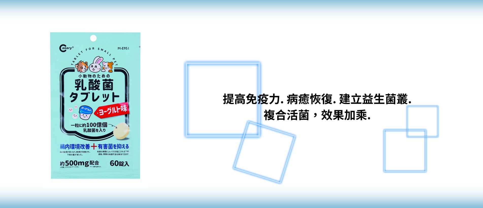 Canary Lactic acid bacteria