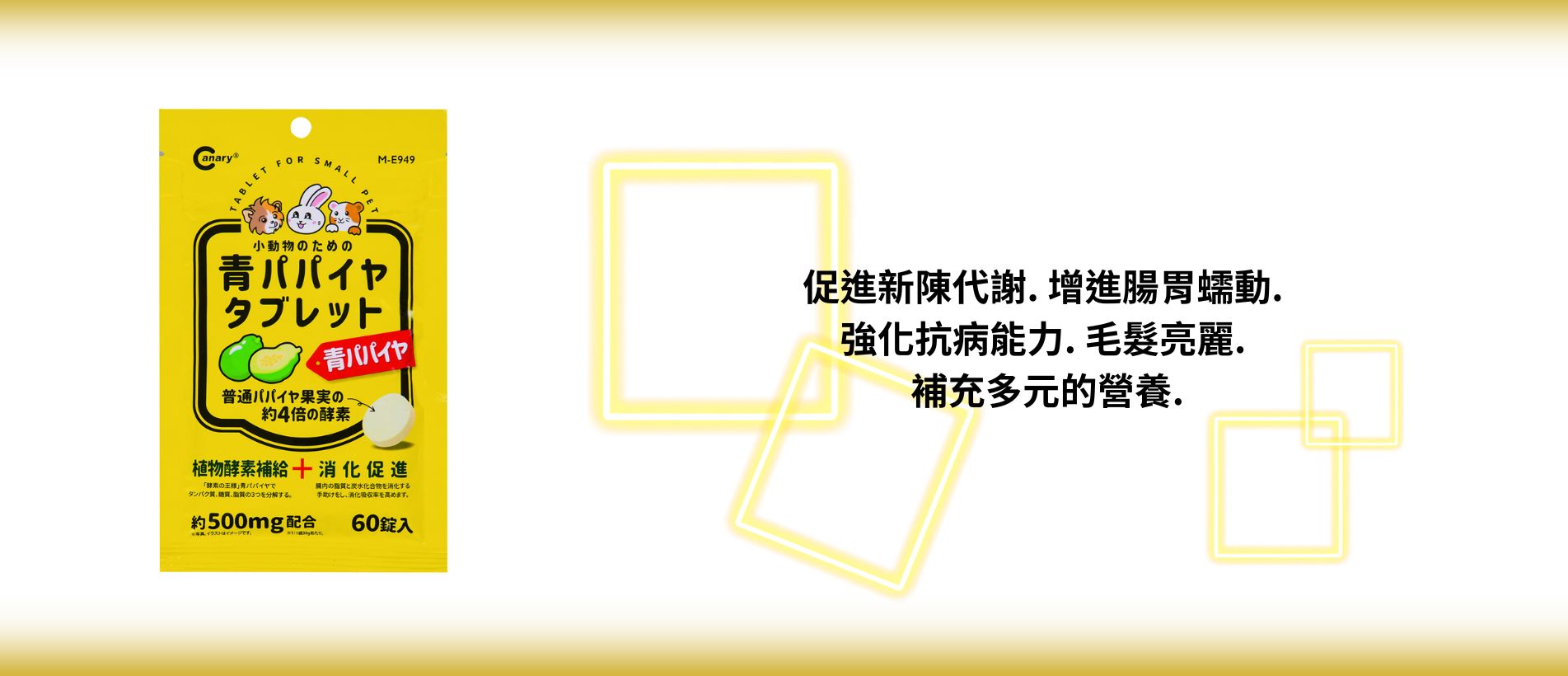 Canary Lactic acid bacteria