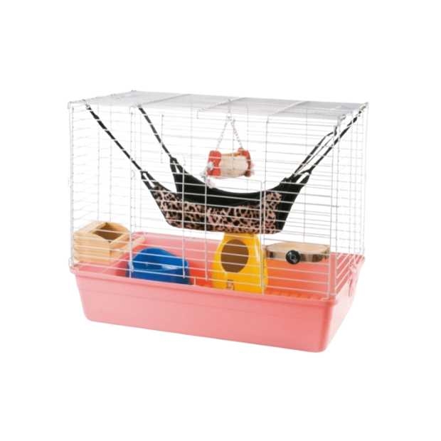 Canary chinchilla rep. _1__1.jpg