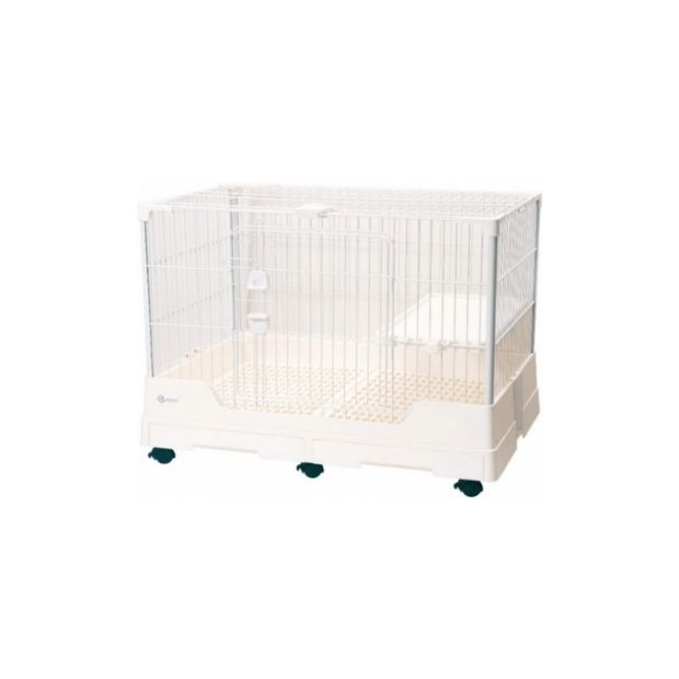 Canary rabbit rep_new.jpg