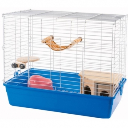 Canary chinchilla rep._4.jpg