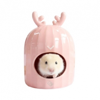 Petbest rat supplies_rep_3.jpg