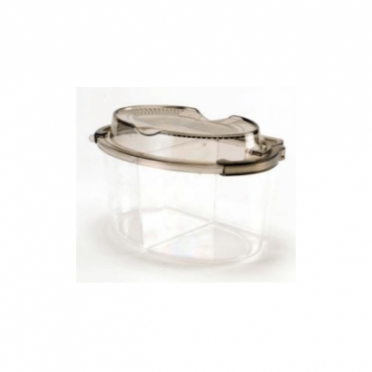 Petbest bettle_rep_1.jpg