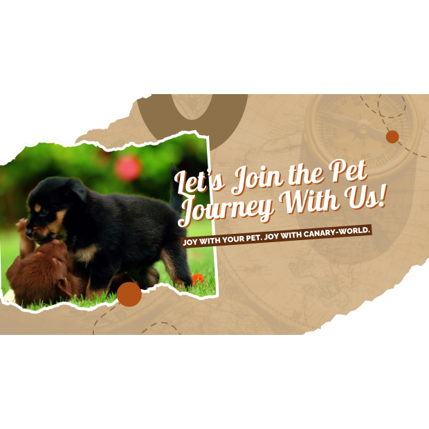 Canary company video.png